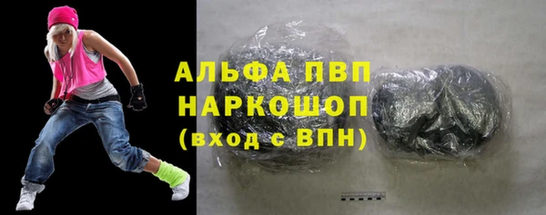 индика Приозерск