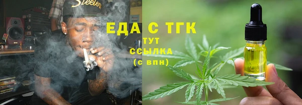 индика Приозерск