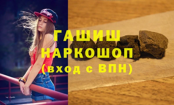 индика Приозерск