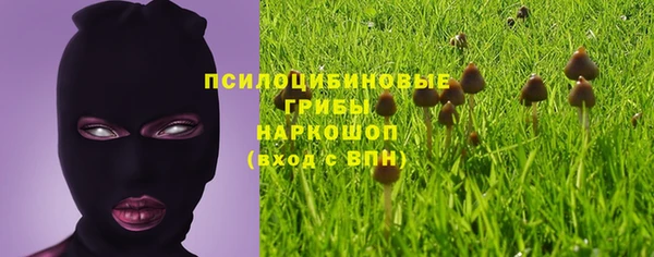 а пвп мука Абаза