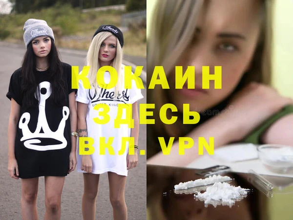 индика Приозерск