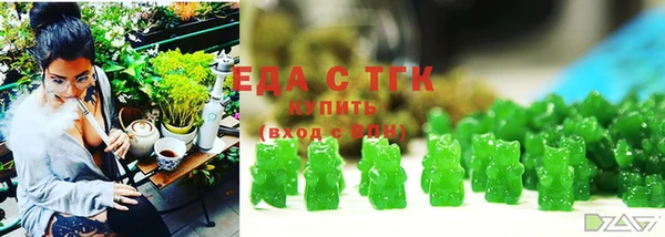 индика Приозерск