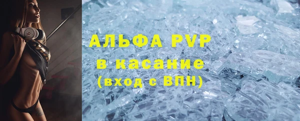 стаф Алзамай