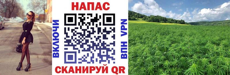 Бошки марихуана Ganja  блэк спрут маркетплейс  Кингисепп 